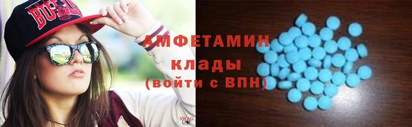 крисы Верхний Тагил