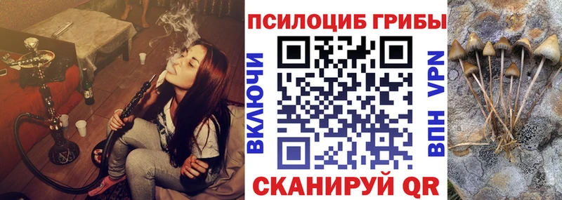 Галлюциногенные грибы MAGIC MUSHROOMS  Любань 